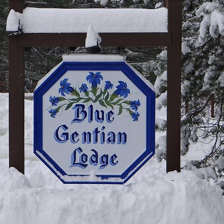 Blue Gentian Lodge At Magic Mountain Londonderry Luaran gambar