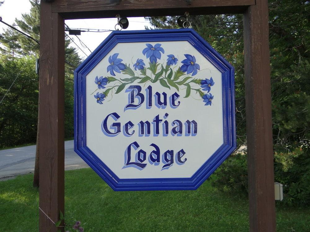 Blue Gentian Lodge At Magic Mountain Londonderry Luaran gambar