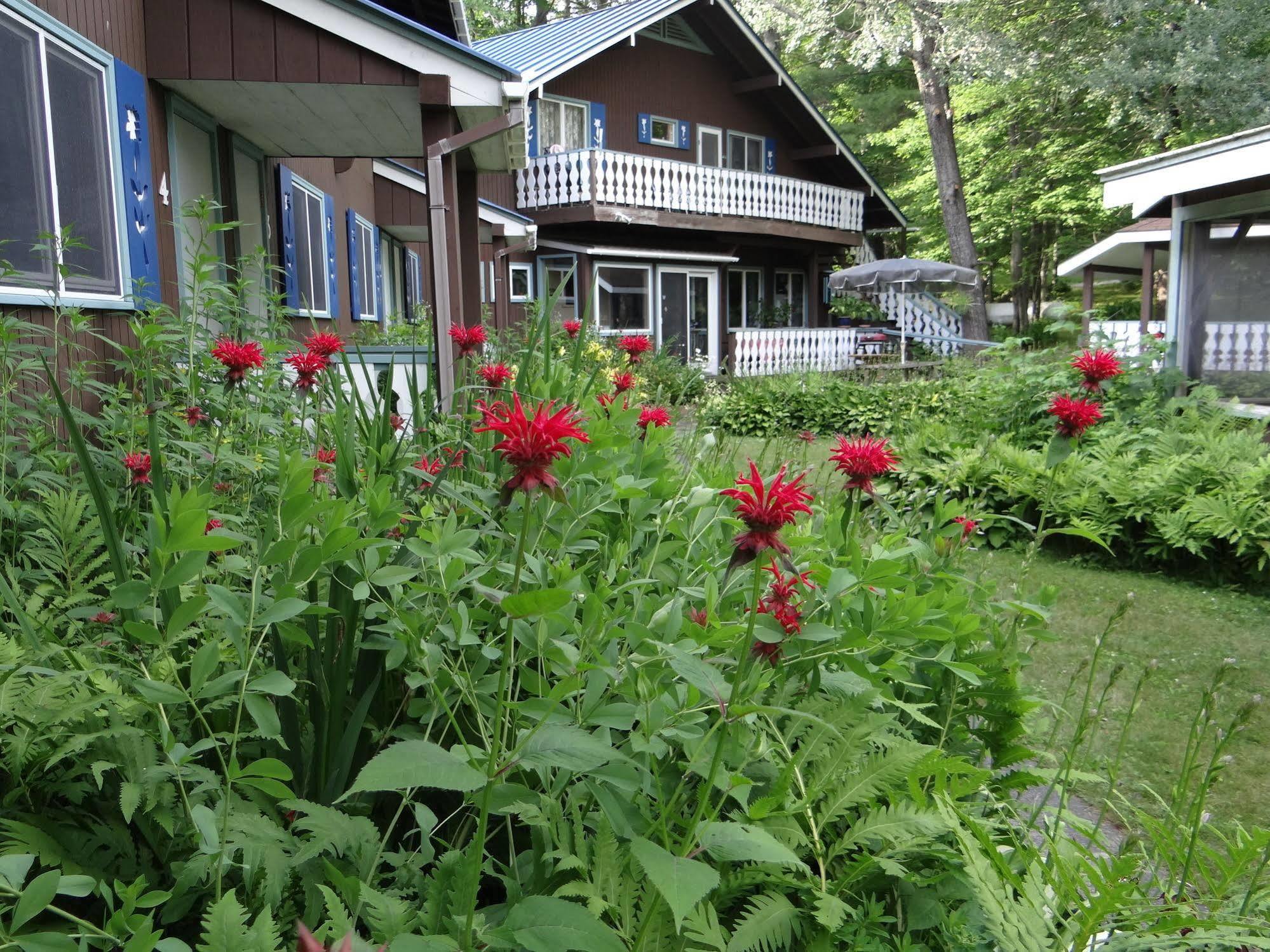 Blue Gentian Lodge At Magic Mountain Londonderry Luaran gambar